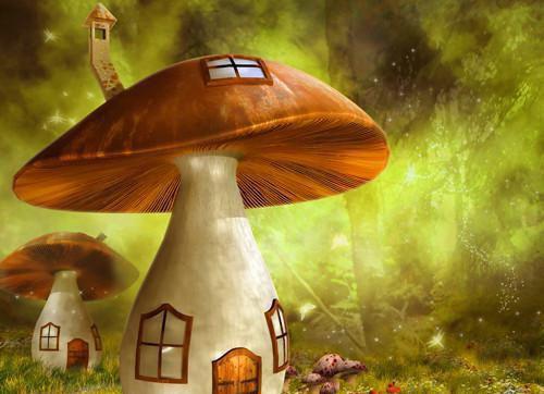 苏念江煜温以芊丈夫出轨的第三年在线阅读全本小说