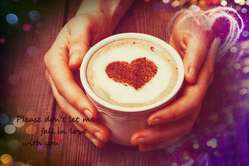 季如葵东方重楼小说全文免费阅读 季如葵东方重楼最新章节