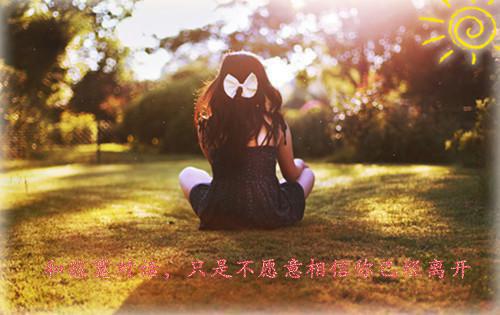 乔烟沈燃全文免费无弹窗 只要总裁给钱快，我让豪门充满爱章节试读