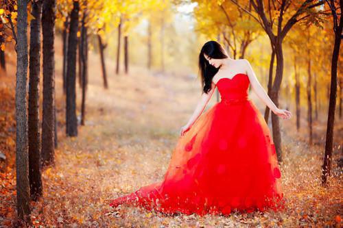 虞杳陆纪辞大结局免费阅读 虞杳陆纪辞全文小说