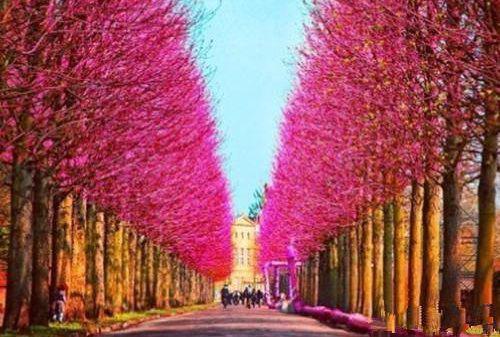 主角叫沈河柳如烟季博达的小说 为了讨好白月光，妻子害死了我奶奶全文免费阅读