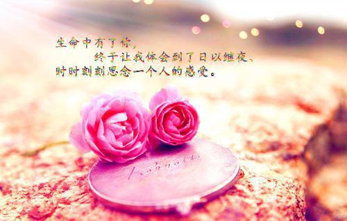 苏霓涅林小说 苏霓涅林免费全文阅读