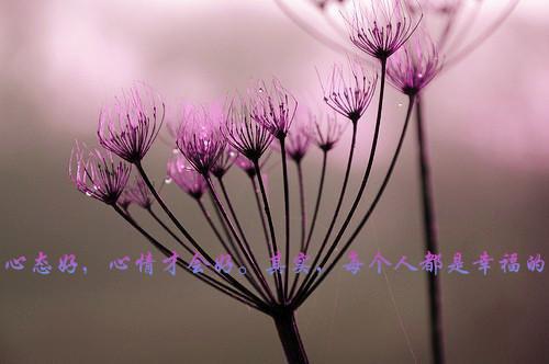 周屿喻橙光小说免费试读 周屿喻橙光第五章