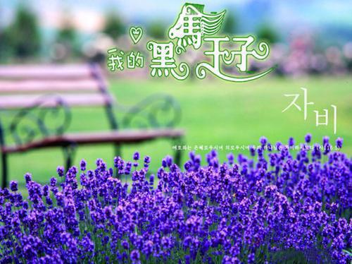 重生后我反杀白眼狼婆家小说(江姜洪安成洪娇娇)章节阅读