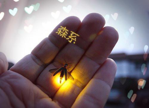 许轻欢御景宸免费阅读小说 许轻欢御景宸第1章