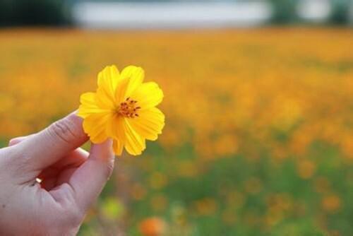 我在娱乐圈当神婆无广告 许丞顾廷江菀阮溪在线免费阅读