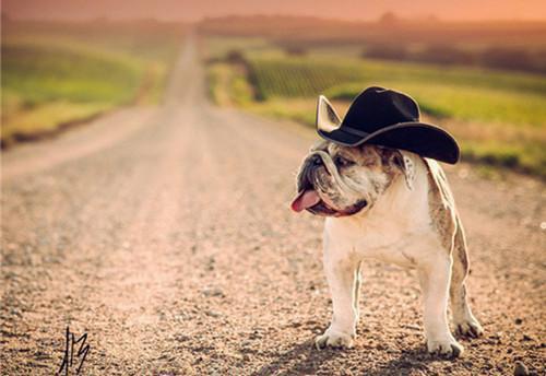 笨蛋美人设计师闯祸后，推我出去背锅姜柔柔苏禾陈易生完整版小说全集阅读