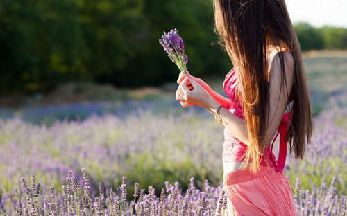 顾瑶陈凯刘婷婷小说 顾瑶陈凯刘婷婷免费全文阅读