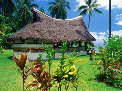 主角薛窈陆康宋芷小说免费阅读最新章节