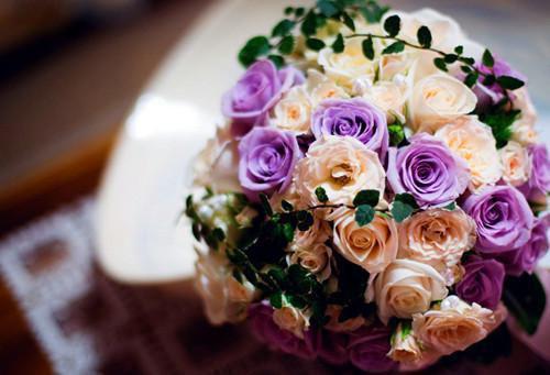 宁念薇萧辰渊第20章 缚春裳，郡主觉醒后又美又飒小说全部章节目录