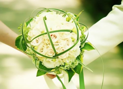 宋琛素素是哪部小说的主角 宋琛素素全文阅读