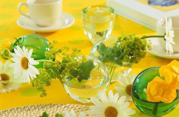 锦秋楚贵妃楚天策的小说 锦秋楚贵妃楚天策全文免费阅读