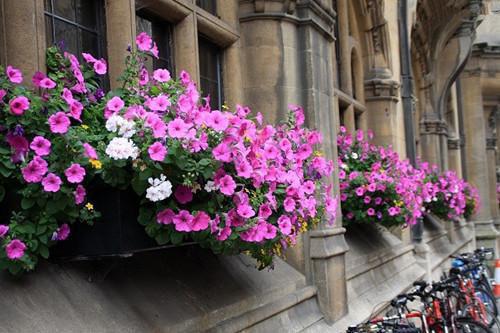 女友让我给白月光道歉后，我消失在了她世界全文阅读 秦之行沈沐月苏明宇小说全本资源