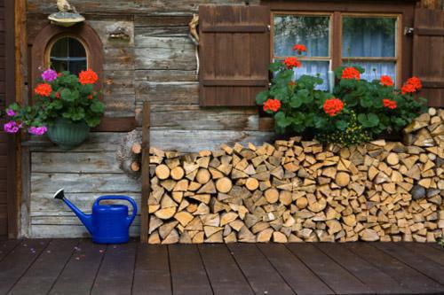 男友背叛五年感情，移情别恋最新章节免费阅读 陈志博林霖未删节小说