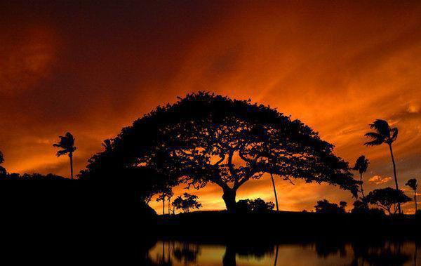 我和高数系统强强联手无广告 刘萍在线免费阅读