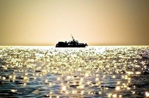 枕边的小熊结局是什么 孙晓峰贱丫完结小说在线阅读