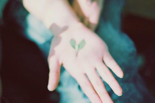 张恒陈浩小说阅读 张恒陈浩全文免费无广告