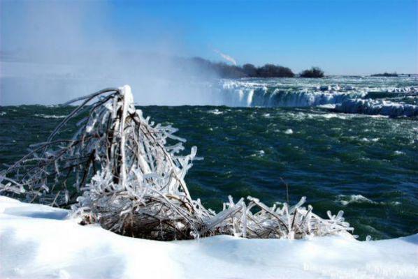 汪宴之张艺柔最新章节免费 汪宴之张艺柔第2章在线阅读