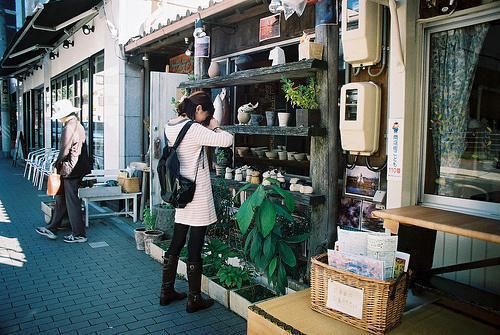 天才学霸被我谈上了小说 天才学霸被我谈上了佚名