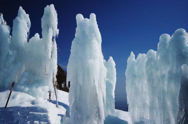 周泽承杜若夏至免费小说 周泽承杜若夏至在线阅读