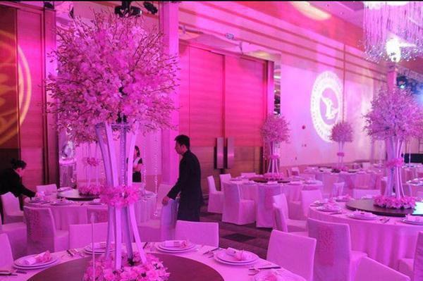 恶心销售竟是我女友闺蜜？免费读全文 胡小萱刘芊芊小说无弹窗