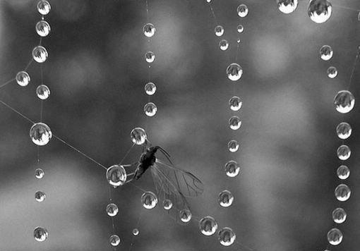 明舒傅廷文小说章节目录 明舒傅廷文免费阅读第9章