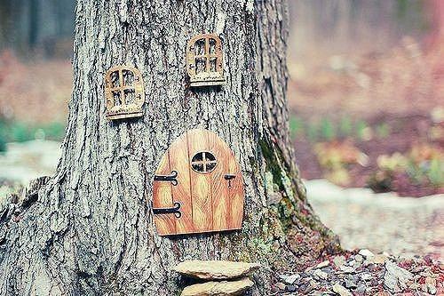 穿越女一心求死曲听寒李玄曲云霆全文免费阅读(已完结)