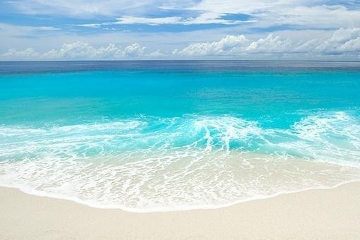 沈宁秦灼全文免费阅读无弹窗大结局-秦灼沈宁最新章节列表（沈宁秦灼）