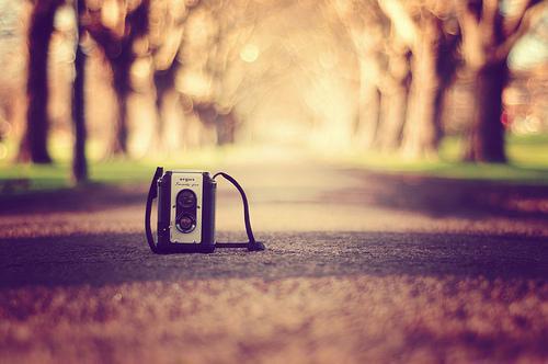 柳墨白秦卿莫灵儿宋青离免费全文 柳墨白秦卿莫灵儿宋青离小说在线阅读