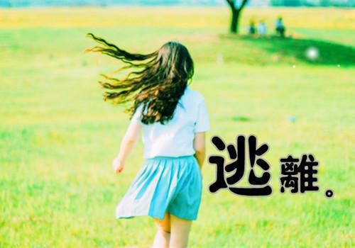 云舒顾霆北小说(云舒顾霆北)_全章节小说完整版阅读（云舒顾霆北）