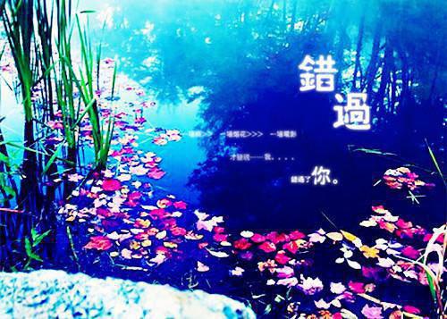 不吃醋，不作妖，林助理人间清醒林汐洛宴沉洛宴森小说最新章节(在线阅读)