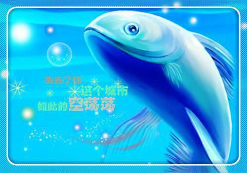 江念宋泊简小说 江念宋泊简免费章节阅读