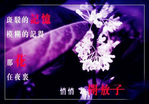 (抖音小说)苏倾城傅修小说全文阅读免费