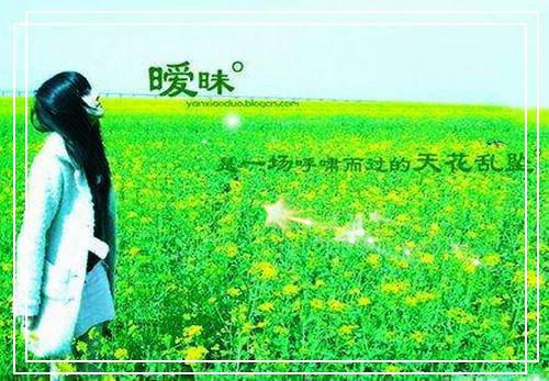 沈暮之小说免费阅读最新 分手后，高冷男神哭惨了完整版