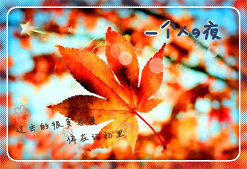 挽宁挽梦蘅芜仙君文相礼免费阅读小说 挽宁挽梦蘅芜仙君文相礼