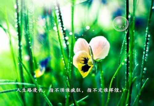 姜莱免费阅读目录 姜莱小说全文