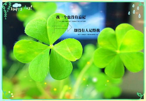 张小宝彤彤小说章节免费阅读 张小宝彤彤无弹窗