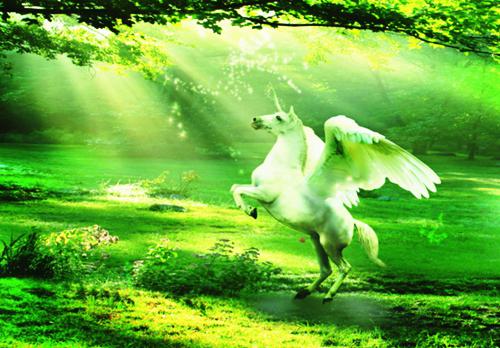 瑶娘墨怀青免费小说 瑶娘墨怀青全文阅读目录