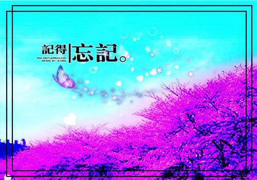 姜暖祁砚西小说在线阅读 姜暖祁砚西最新章节目录