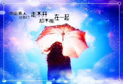 让你送花，没让你送校花千年杀！免费阅读全本 秋鸣沈云溪完整版小说