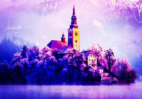 已完结小说《父亲的金丝雀死后，他一心想让我陪葬》全文免费阅读