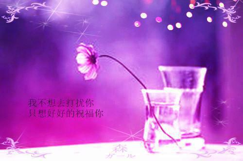 在冰柜看到我的尸体后妻子疯了免费试读 司悦江辰林毅小说