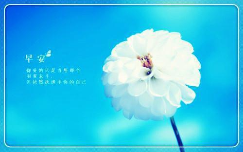 婚前破戒!我不做沈先生的心药小说全集 沈时倦顾晚凝结局在线阅读