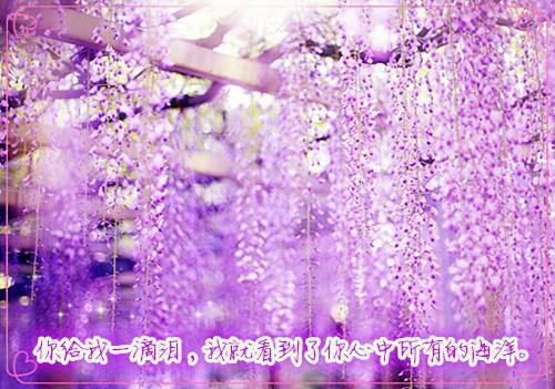凤凌雪薛裴（冬日无眠不负相思：结局+番外）免费阅读完整版_(凤凌雪薛裴)最新章节列表（冬日无眠不负相思：结局+番外）