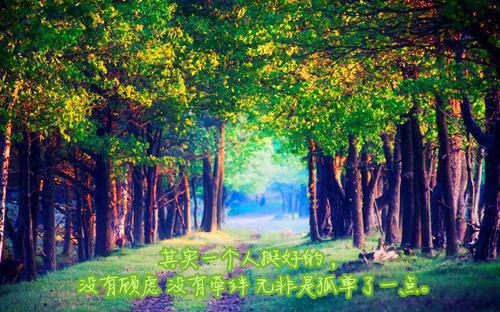 唐文浩小说无删减无弹窗 系统在手：我无敌怎么了在线看