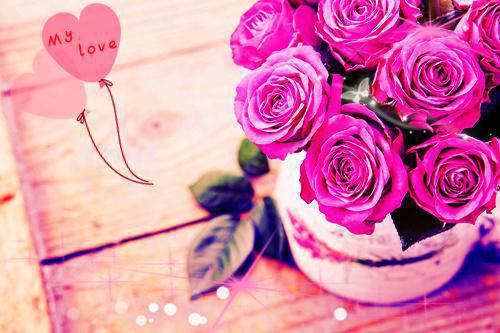 穿书后,和闺密连夜携款出逃(结局) 何慕蕊颜辰免费阅读全文