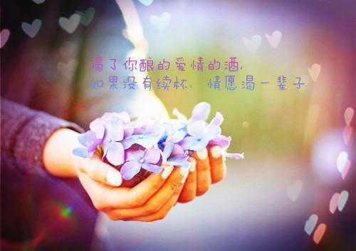 饥荒年，我囤货娇养了古代大将军（叶苜苜）免费阅读无弹窗大结局_（叶苜苜）饥荒年，我囤货娇养了古代大将军最新章节列表