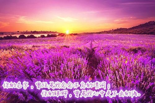 不问归途翠翠春花小说(完整)免费阅读