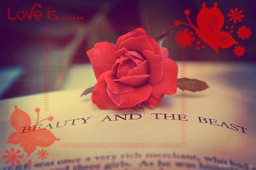 谢娟李勇邱竹哪里可以看 谢娟李勇邱竹免费阅读第6章