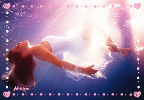 山鸟与鱼不同路，从此山水不相逢(沈之盛沈星苏玉)无弹窗阅读